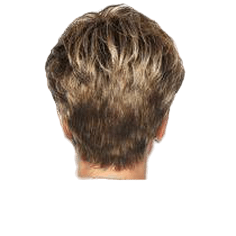 Raquel Welch Winner Wig