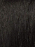 Raquel Welch Ahead of the Curve Wig