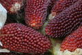 20 PCS Strawberry Fruit Corn Seeds - Rare Beautiful Seeds for Outdoor Garden - Zea mays (E81)