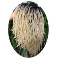10" Ombre Dreadlock Wig | Sister Locs | Faux Locs Crochet Braids | Synthetic Twist Hair