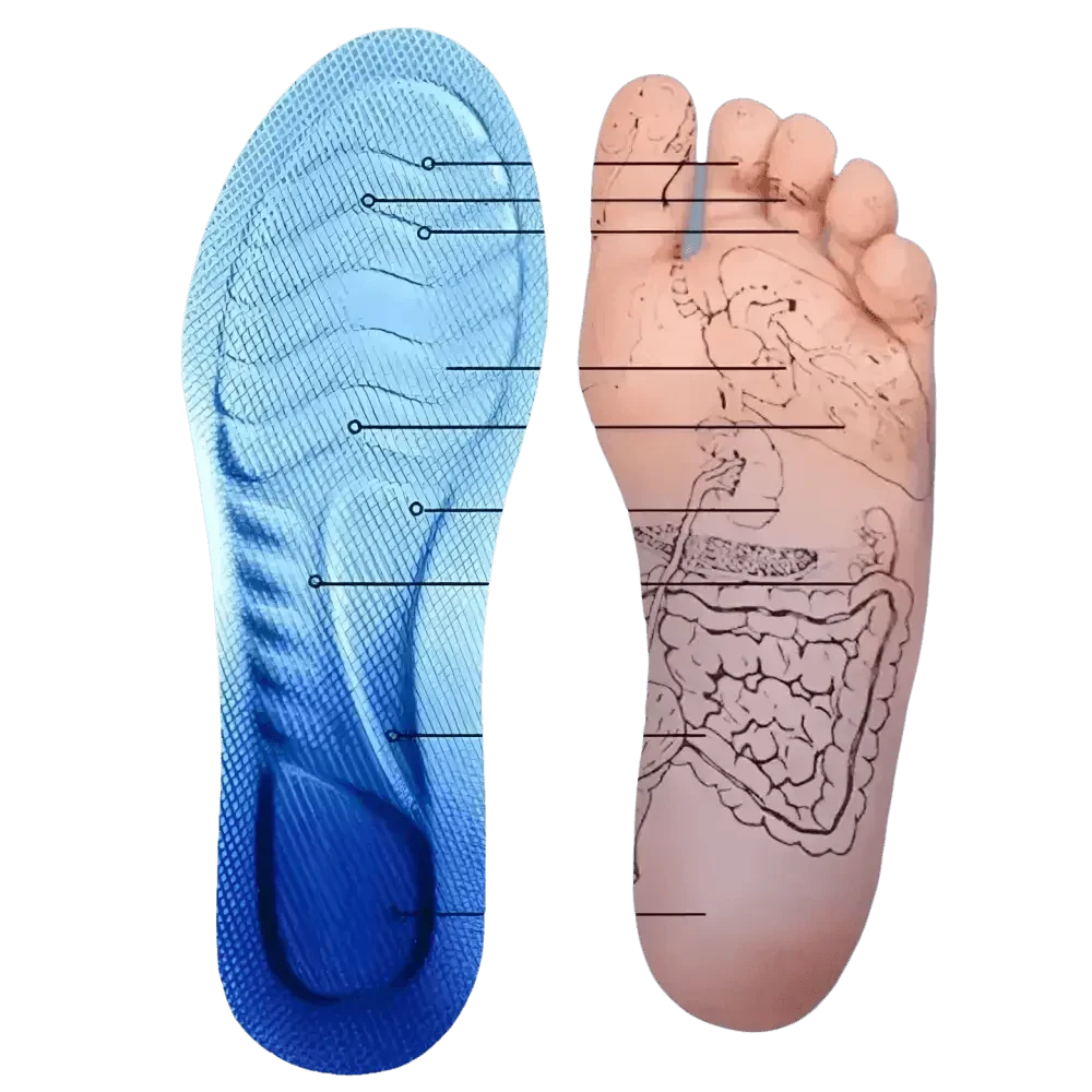 Blue and White Sports Insoles for Men - Breathable Shock Absorption Performance