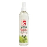 Fantasia IC Hair Polisher Spritz Super Hold
