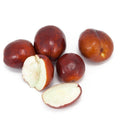 Li Jujube Tree - 3 Feet Tall - Grafted - Large Fruit - Ziziphus jujuba - Ships in 3 Gal Pot - Zones 5-10