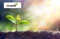 Dinosaur Gourd Seeds - 20 Pack - Big Club Shaped Gourds - Lagenaria siceraria - Ideal for Planting