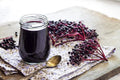 Fresh Elderberry Cuttings - Black-Bearing Variety - Grow 5 Bushes - Sambucus nigra