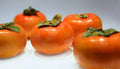 Fuyu Persimmon Tree 1-2ft Sapling Diospyros Kaki Live Plant Bare Root Hardy Fruit Tree Zones 7-10