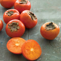 American Persimmon Seeds - 10 Count - Diospyros virginiana - Common Persimmon, Edible Fruit Tree Seeds