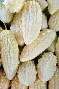 10 White Bitter Gourd Seeds - Exotic Bitter Melon for Planting (Momordica charantia)