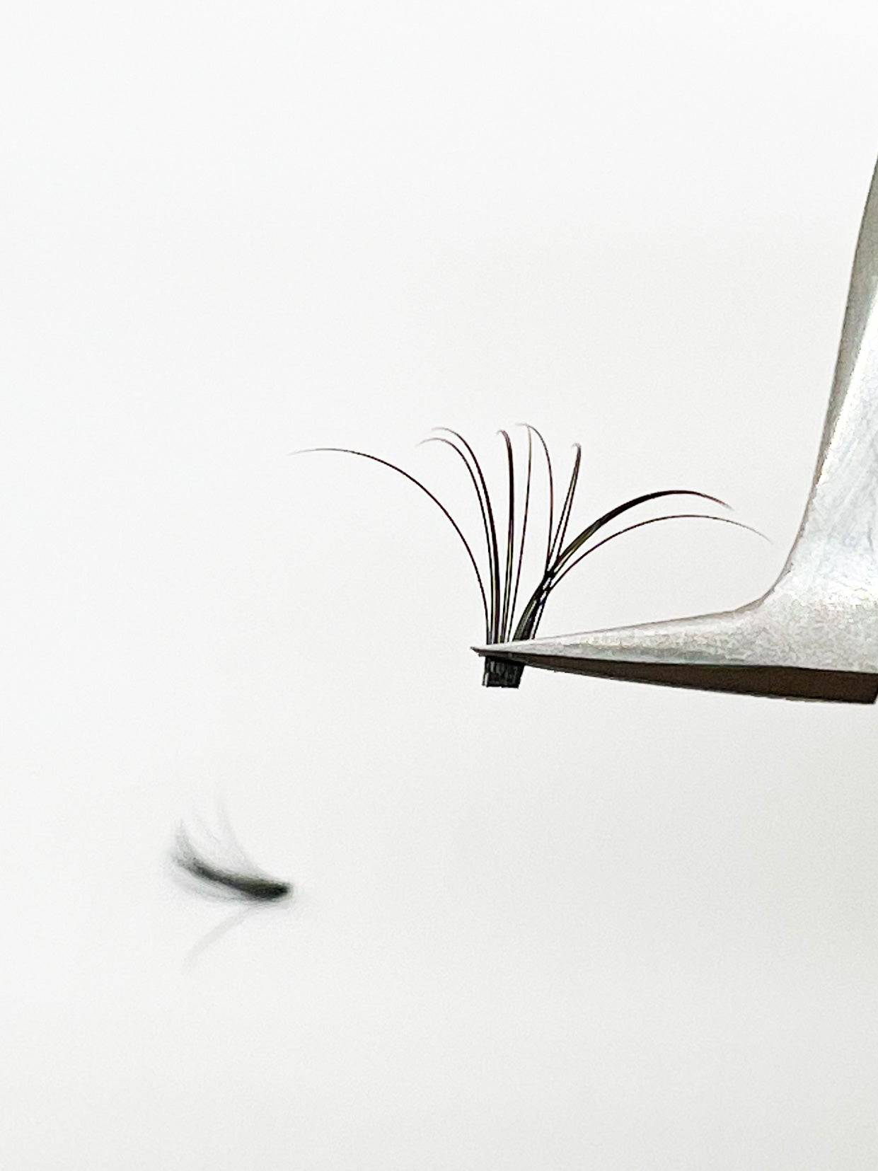 VIP Quick Fan Lash Extensions, 12 Lines 0.05 C Curl