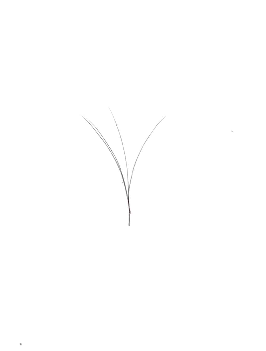 VIP V Type Easy Fan Lashes, 0.5 C Curl, 12 Lines