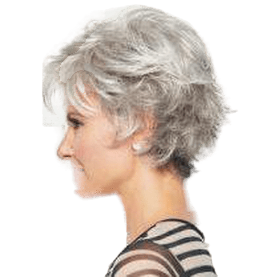 Raquel Welch Voltage Wig