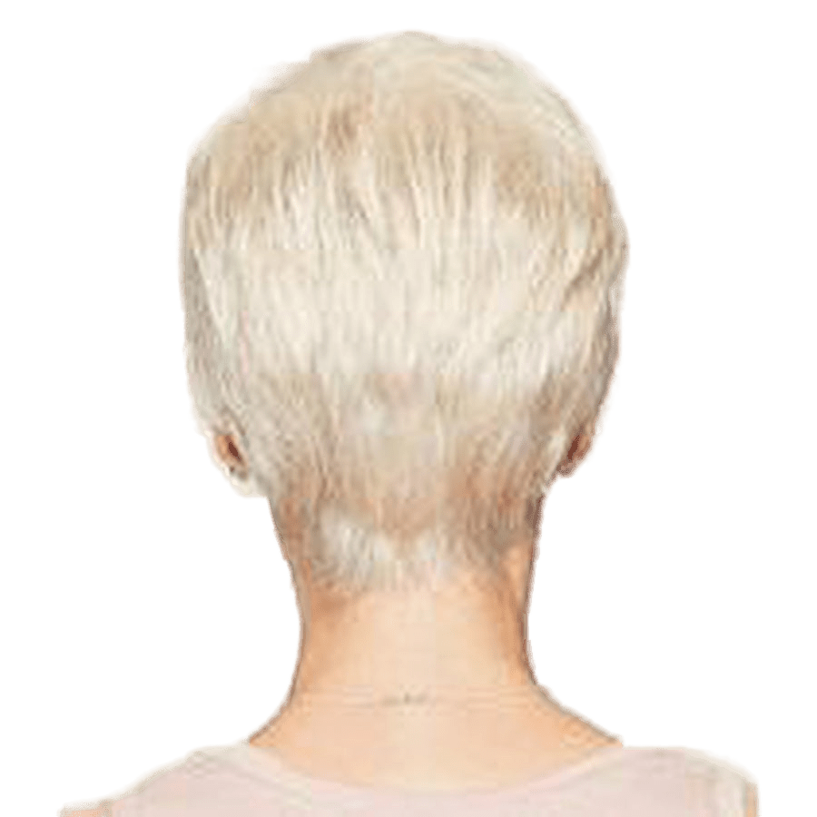 Raquel Welch Winner Wig