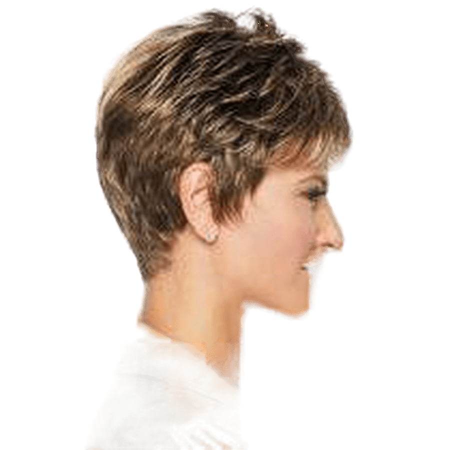 Raquel Welch Winner Wig